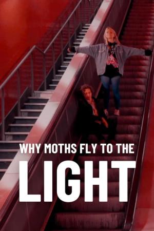 Why moths fly to the light? (2020)