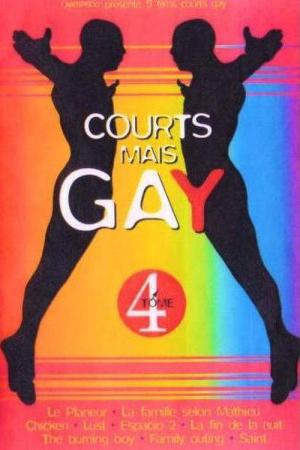 Courts mais Gay: Tome 4 (2002)