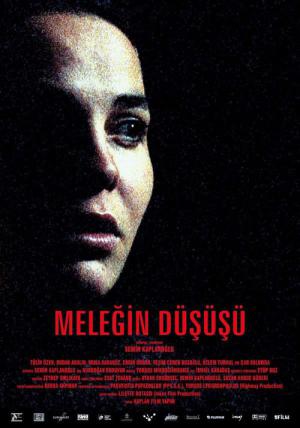 Angel's fall (2004)