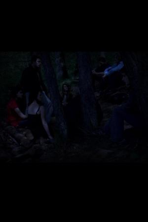 Les destructions (2010)