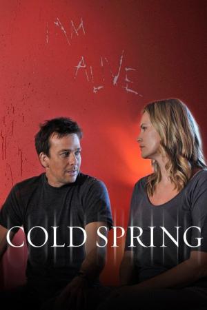 Le Manoir de Cold Spring (2013)