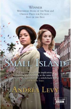 Small Island (2009)