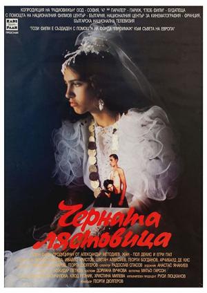 L'hirondelle noire (1996)