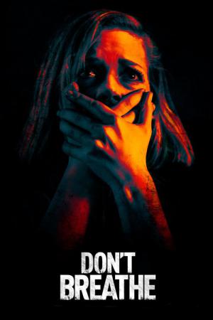 Don't Breathe : La maison des ténèbres (2016)