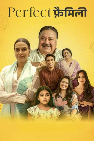 A Perfect Family (2025)