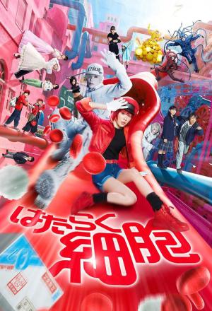 Cells at work ! (2024)