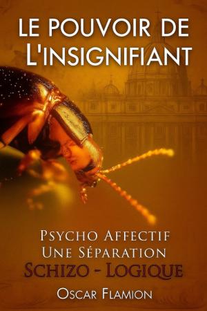 Le Pouvoir de l'Insignifiant - Psycho affectif : une séparation Schizo Logique (2025)