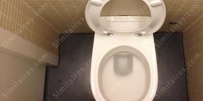 cuvette des toilettes films