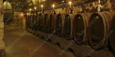 cave à vin films