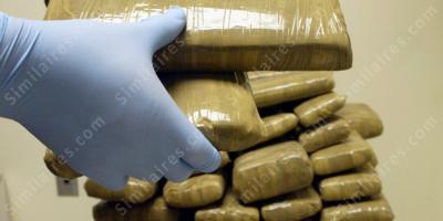 anneau de drogue films anneau de drogue films