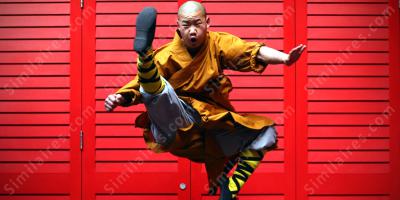 moine shaolin films