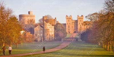 maison de Windsor films