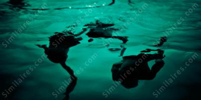 baignade de nuit films
