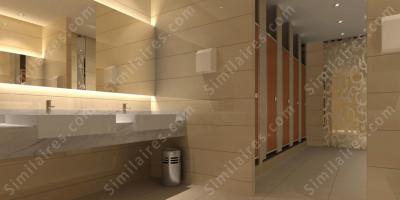 toilettes publiques films