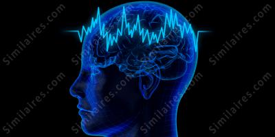 cerveau exposé films