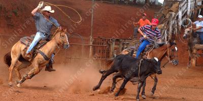 lasso films