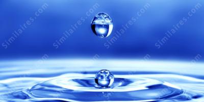 goutte films