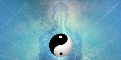 le yin et le yang films