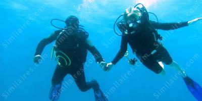 Plongée sous-marine films