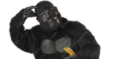 costume de gorille films