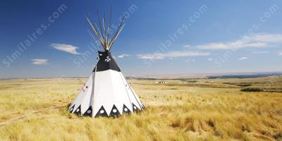 tipi films