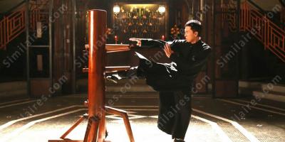 Wing Chun films