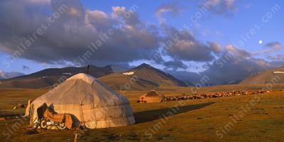 Mongolie films