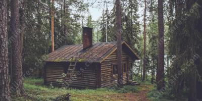 La Cabane dans les bois films