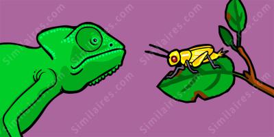 sélection naturelle films