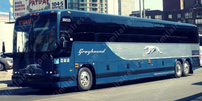 bus lévrier films