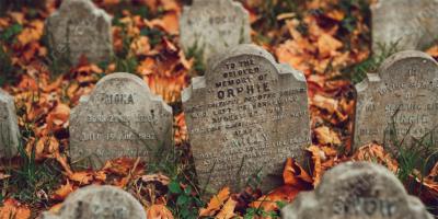 cimetière pour animaux films