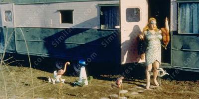 poubelle de remorque films