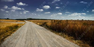 chemin de terre films