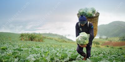 agriculture films