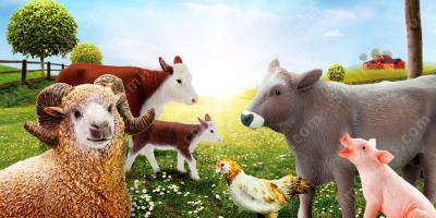animaux de la ferme films