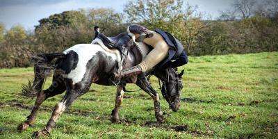 tomber de cheval films