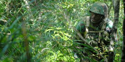 guerre dans la jungle films