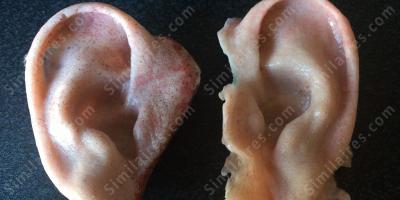 oreille coupée films oreille coupée films