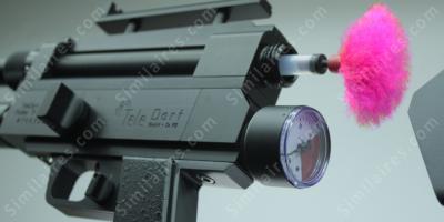 Pistolet de dard films