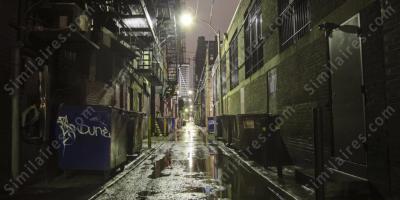 ruelle films