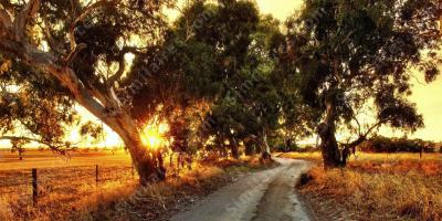 route rurale films