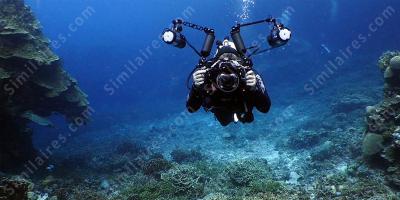photographie sous-marine films