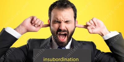 insubordination films