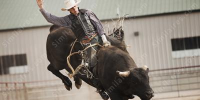 la monte de taureau films